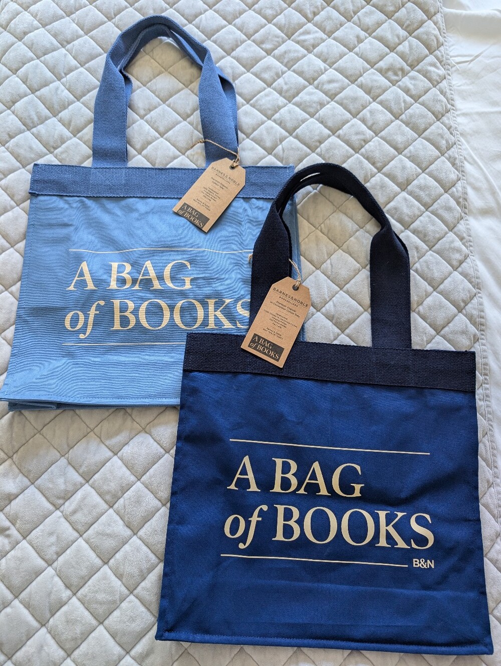 Barnes And Noble Canvas Tote Bag, A Bag Of Books, Set Of 2x, Blue